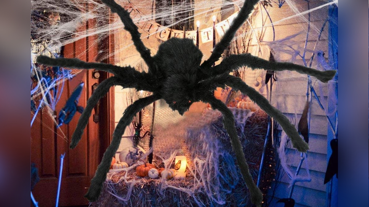 Click to Enlarge-Esc to Close EventPhotos/Halloween/a spider 2.jpg